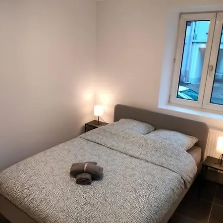 Appartement Authentique Et Cosy-wifi-tv-terrasse-20min Strasbourg *