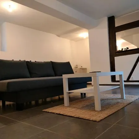 Authentique Et Cosy-wifi-tv-terrasse-20min Strasbourg Marlenheim