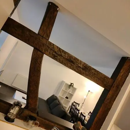 Authentique Et Cosy-wifi-tv-terrasse-20min Strasbourg Appartement