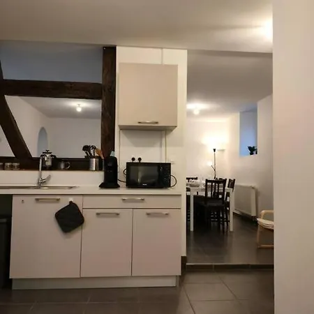 Authentique Et Cosy-wifi-tv-terrasse-20min Strasbourg Appartement *