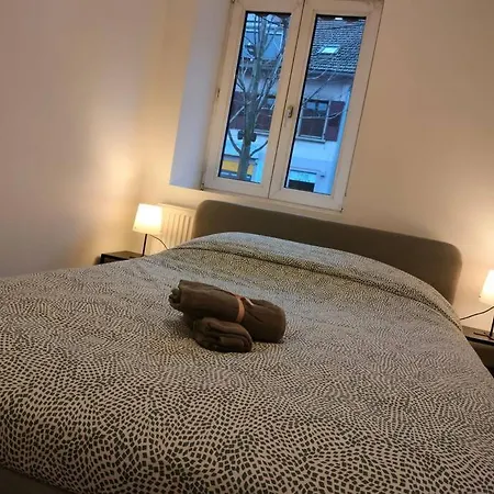 Authentique Et Cosy-wifi-tv-terrasse-20min Strasbourg Marlenheim